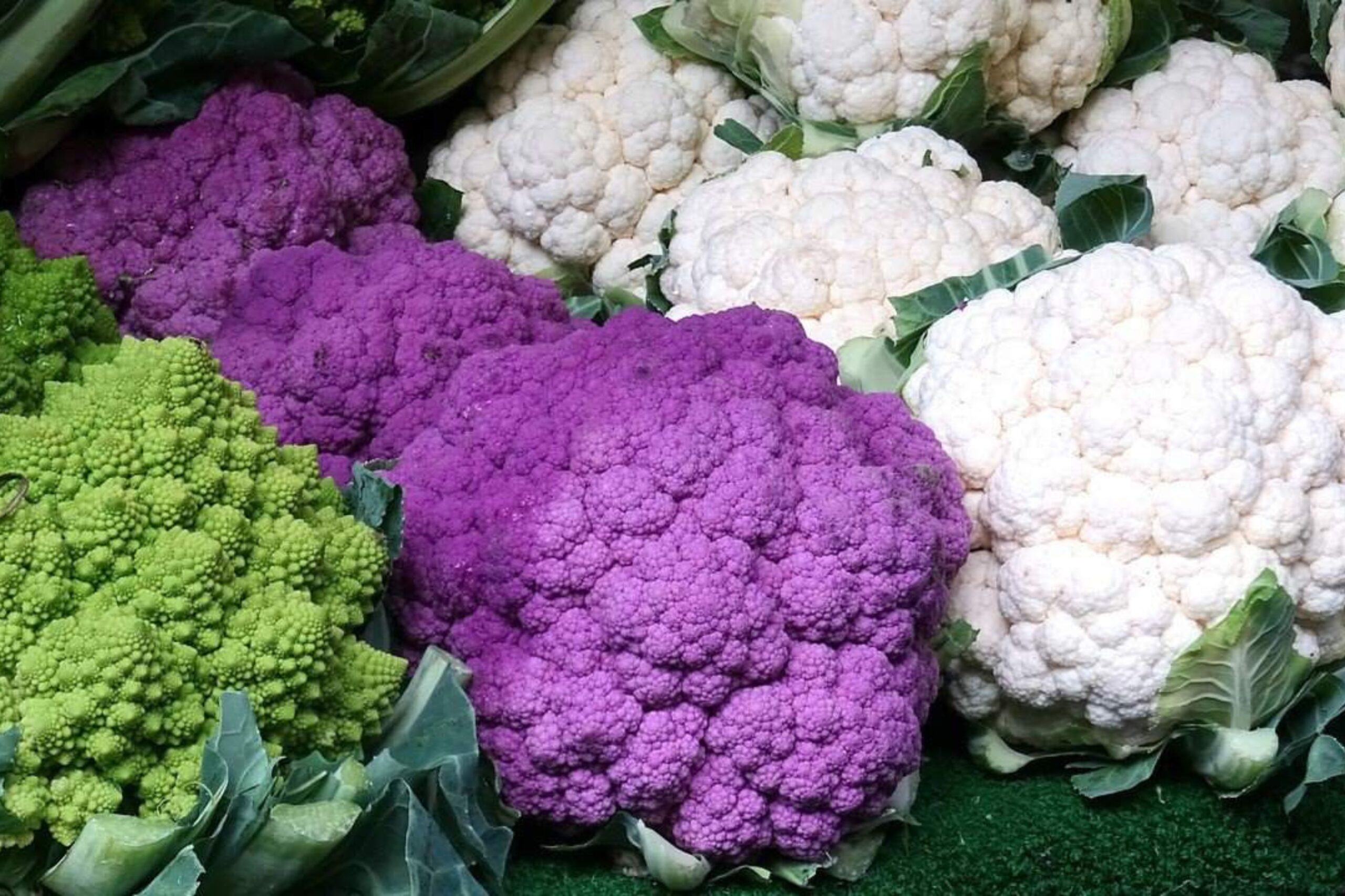 different varieties of cauliflower on a market