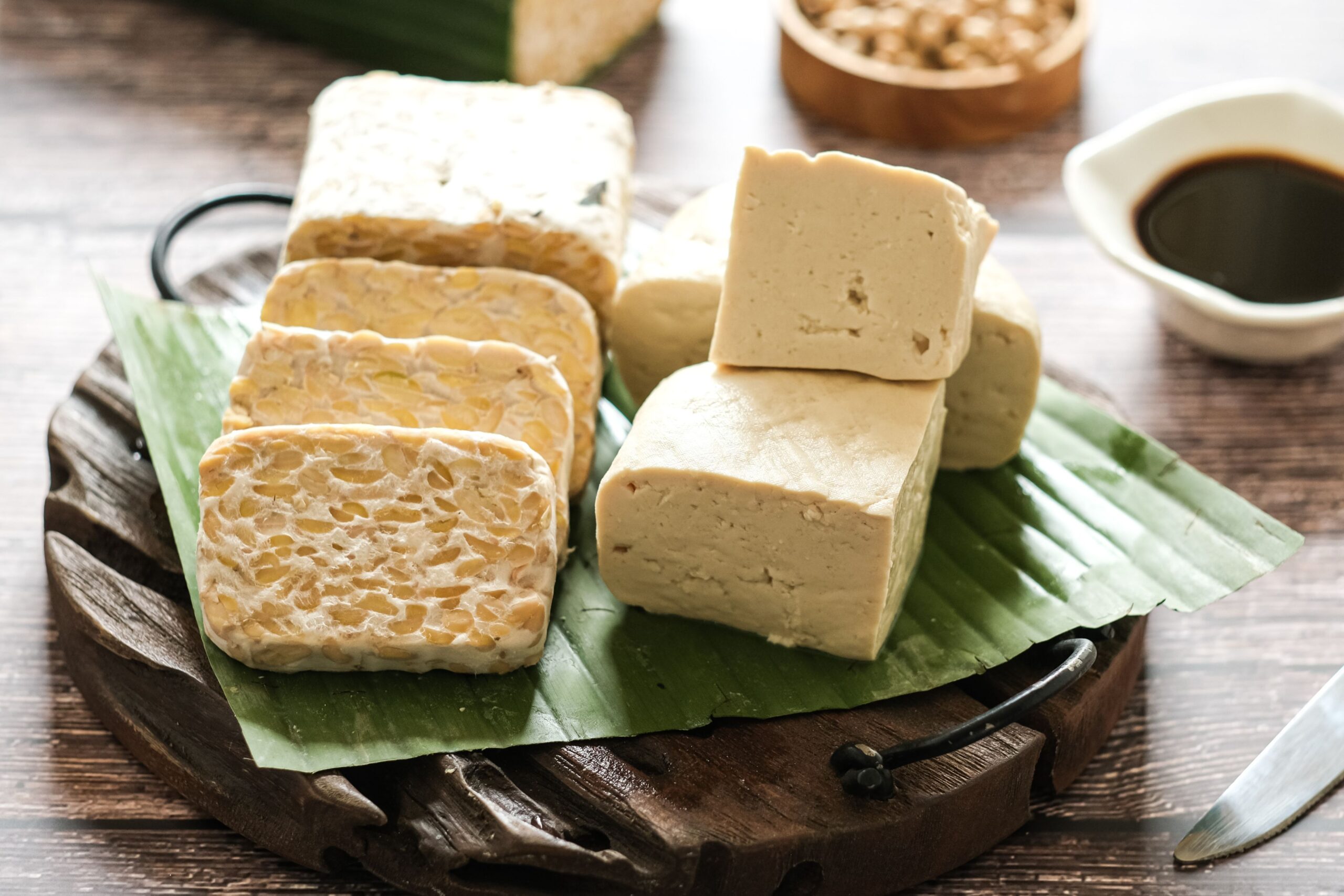 fermentation basics tempeh soy