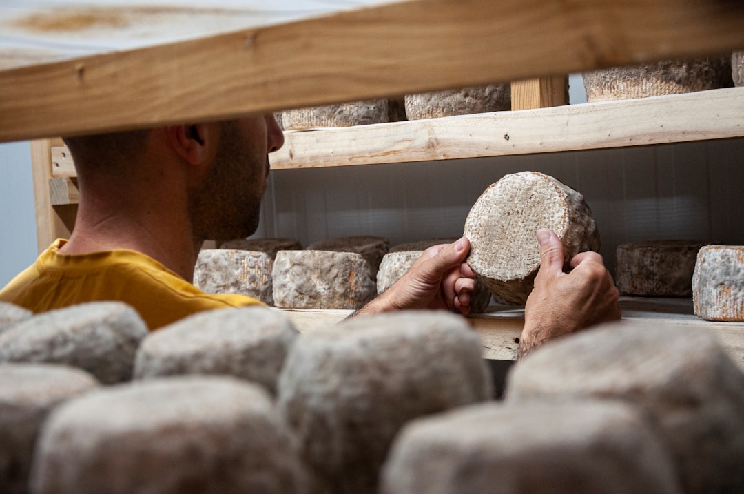 A skilled cheesemaker inspects an aged wheel in a cave cellar, representing the depth of artisan cheese craft