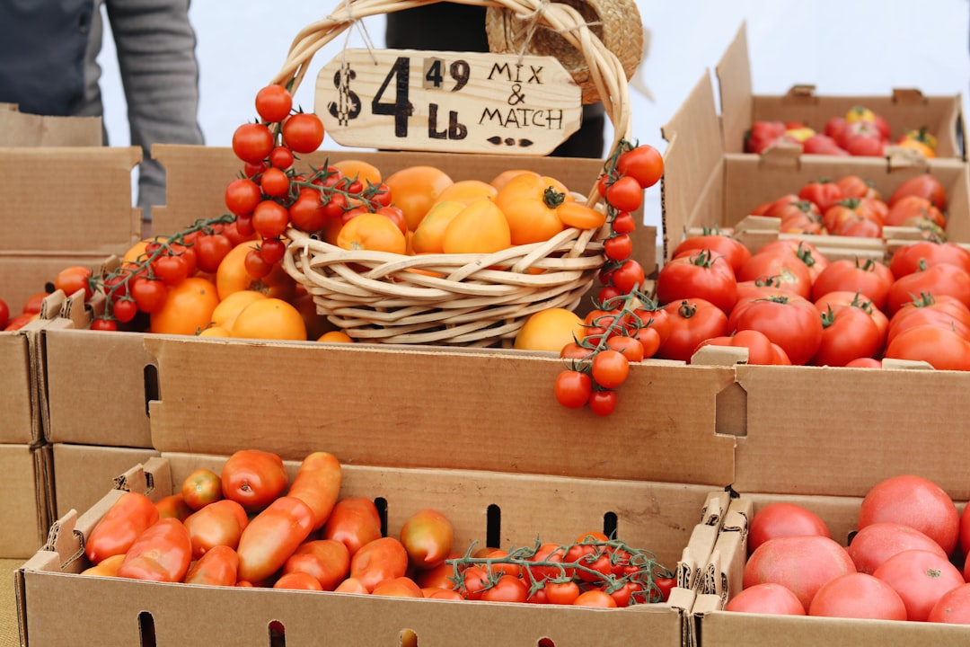 A chef carefully selects ripe tomato dishes ingredients at a Mediterranean summer market